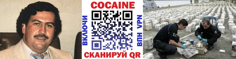 Купить закладки Грязовец COCAIN FishScale