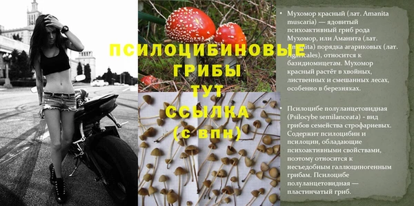 соль курить ск Ельня
