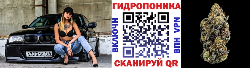 Купить где  Грязовец  Марихуана ГИДРОПОН 
